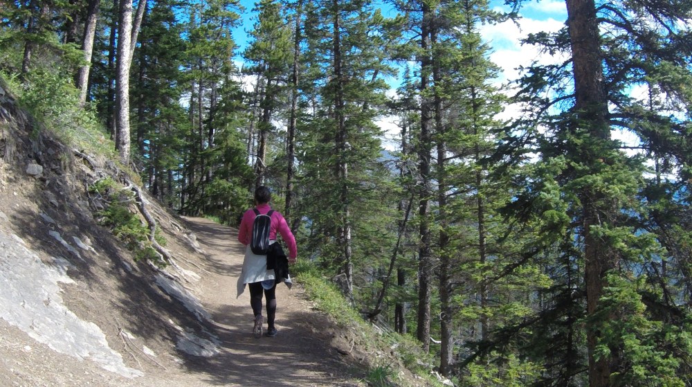 DCIM100GOPROG0011025.