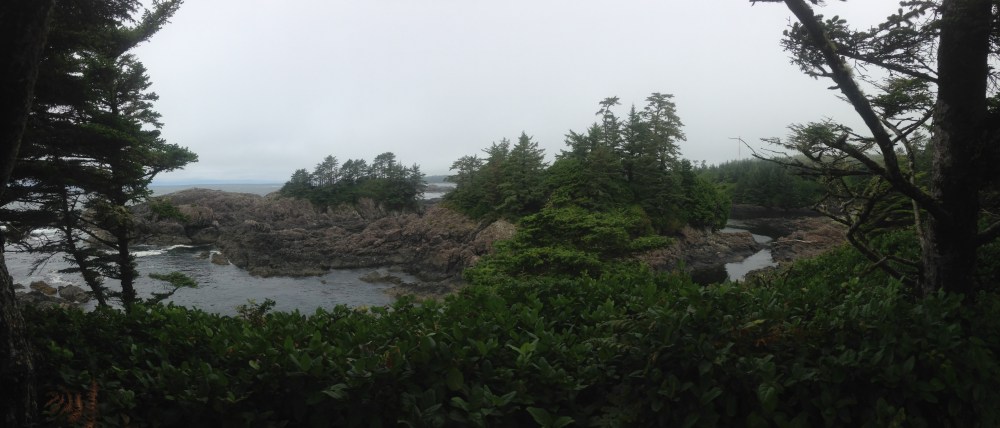 IMG_0314 UCLUELET